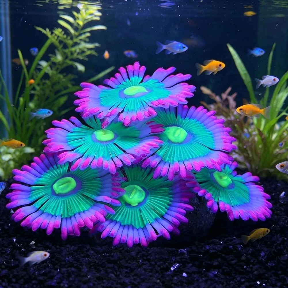 Marine Aquarium For Sale - Gloeiende zachte aquariumdecoraties van siliconen, kunstmatige