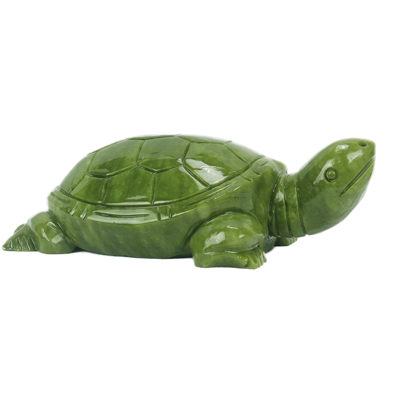 Natuurlijke Jade/schildpad Scu - Marine Aquarium All In One recensie en prijs