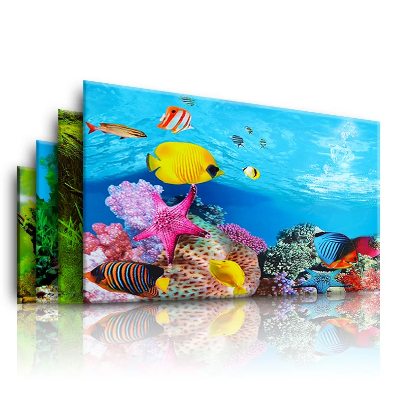 Achtergrond voor aquarium 3d s - Marine Aquarium All In One recensie en prijs
