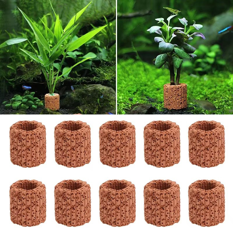 Aquatische Plant Vaste Ring vo - Marine Aquarium For Sale recensie en prijs