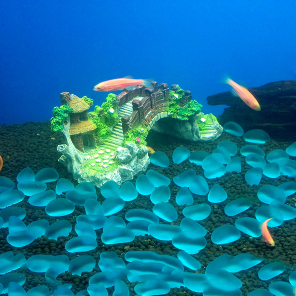 Aquarium Accessoires Prieel Bo - Marine Aquarium All In One recensie en prijs