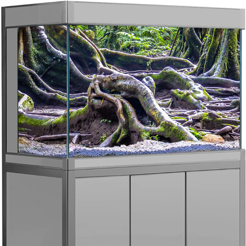 Visbakdecoratie Aquarium Achte - Marine Aquarium For Sale recensie en prijs