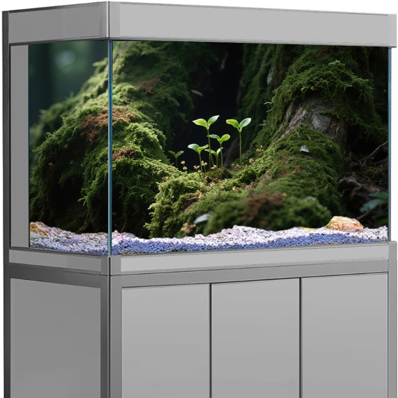 Visbakdecoratie Aquarium Achte - Marine Aquarium For Sale recensie en prijs