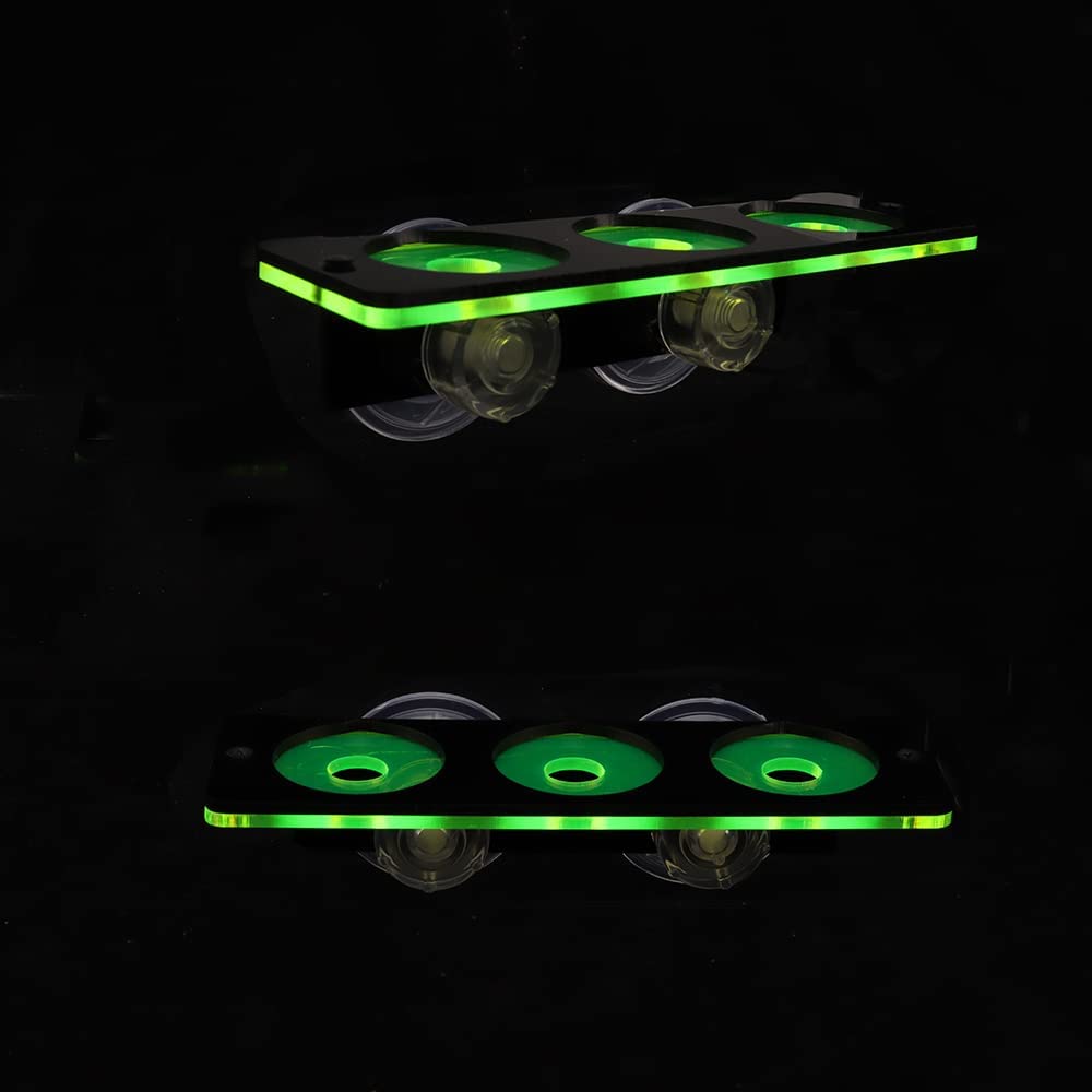 Fluorescerend Koraal Frag Plug - Marine Aquarium All In One recensie en prijs